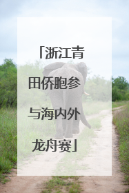 浙江青田侨胞参与海内外龙舟赛