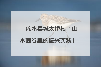 浠水县城太桥村：山水画卷里的振兴实践
