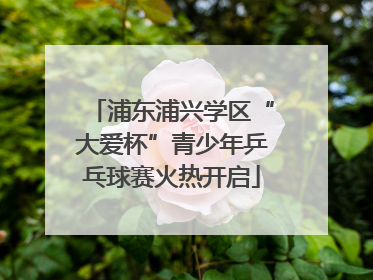 浦东浦兴学区“大爱杯”青少年乒乓球赛火热开启