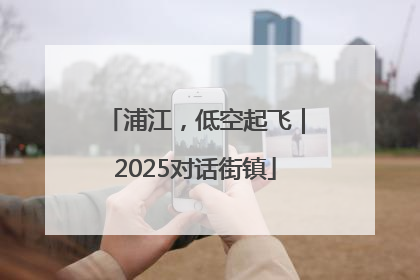 浦江，低空起飞｜2025对话街镇