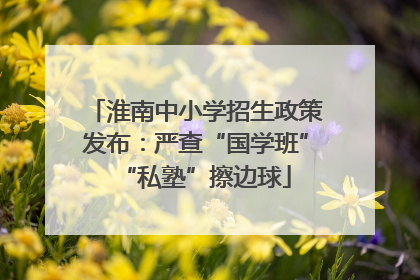 淮南中小学招生政策发布：严查“国学班”“私塾”擦边球
