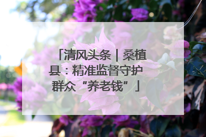 清风头条｜桑植县：精准监督守护群众“养老钱”
