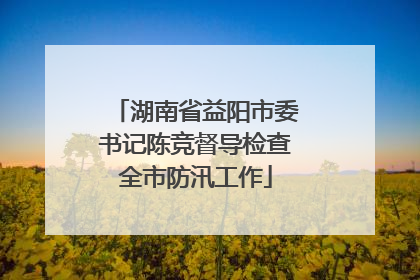 湖南省益阳市委书记陈竞督导检查全市防汛工作