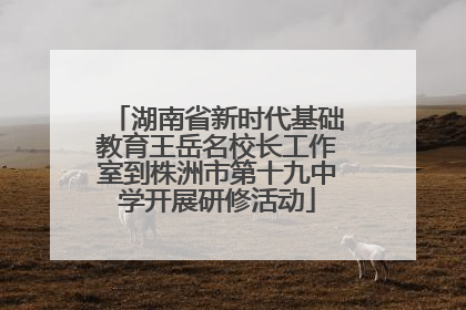 湖南省新时代基础教育王岳名校长工作室到株洲市第十九中学开展研修活动
