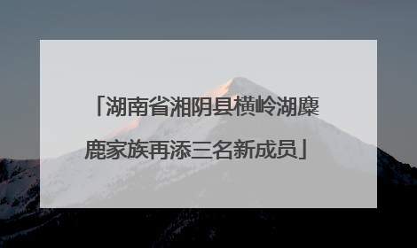 湖南省湘阴县横岭湖麋鹿家族再添三名新成员