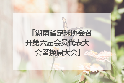 湖南省足球协会召开第六届会员代表大会暨换届大会