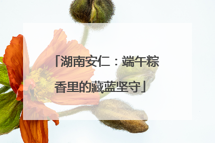 湖南安仁：端午粽香里的藏蓝坚守