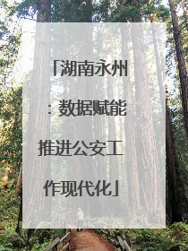 湖南永州：数据赋能推进公安工作现代化