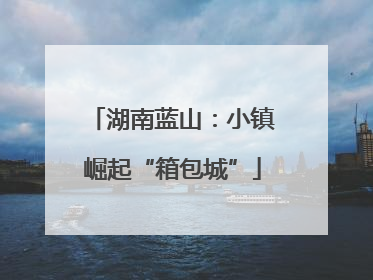 湖南蓝山：小镇崛起“箱包城”
