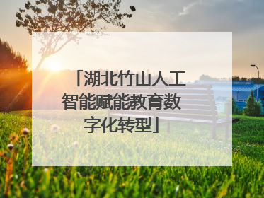 湖北竹山人工智能赋能教育数字化转型