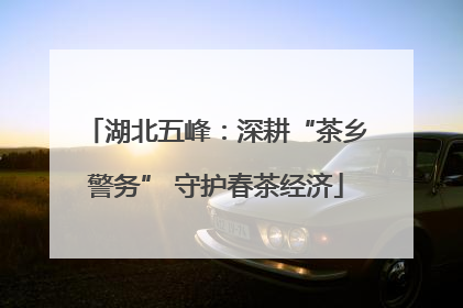 湖北五峰：深耕“茶乡警务” 守护春茶经济