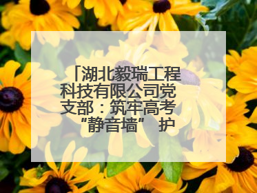 湖北毅瑞工程科技有限公司党支部：筑牢高考“静音墙” 护航学子逐梦路