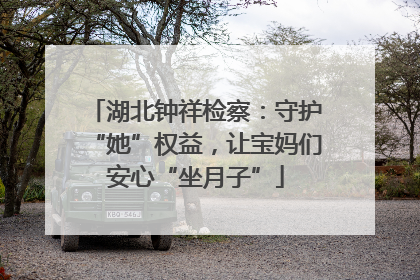 湖北钟祥检察：守护“她”权益，让宝妈们安心“坐月子”
