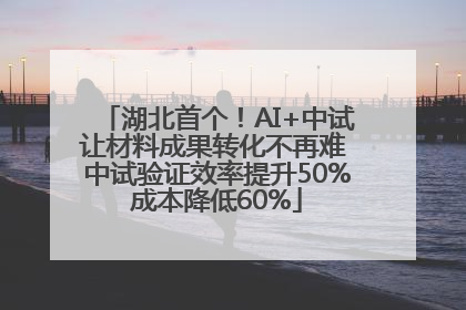 湖北首个！AI+中试让材料成果转化不再难 中试验证效率提升50%成本降低60%