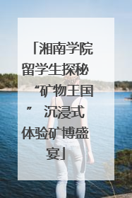 湘南学院留学生探秘“矿物王国” 沉浸式体验矿博盛宴