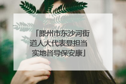 滕州市东沙河街道人大代表显担当实地督导保安康