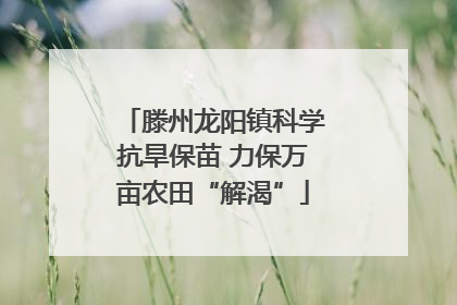 滕州龙阳镇科学抗旱保苗 力保万亩农田“解渴”
