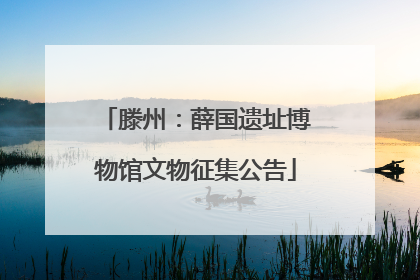 滕州：薛国遗址博物馆文物征集公告