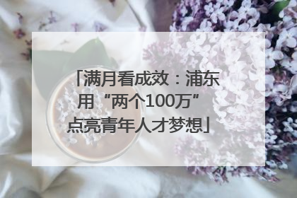 满月看成效：浦东用“两个100万”点亮青年人才梦想