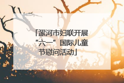 漯河市妇联开展“六一”国际儿童节慰问活动