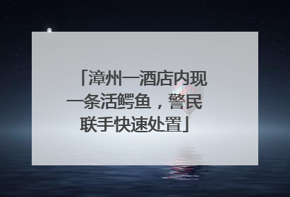 漳州一酒店内现一条活鳄鱼，警民联手快速处置
