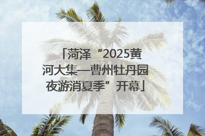 菏泽“2025黄河大集—曹州牡丹园夜游消夏季”开幕