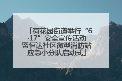荷花园街道举行“6·17”安全宣传活动暨恒达社区微型消防站应急小分队启动式