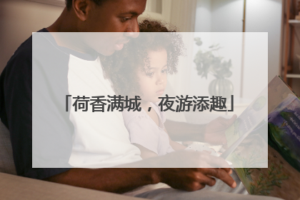 荷香满城，夜游添趣