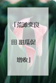 荒滩变良田 甜瓜促增收