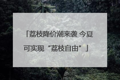 荔枝降价潮来袭 今夏可实现“荔枝自由”