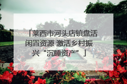 莱西市河头店镇盘活闲置资源 激活乡村振兴“沉睡资产”