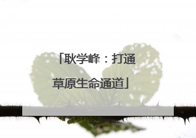 耿学峰：打通草原生命通道