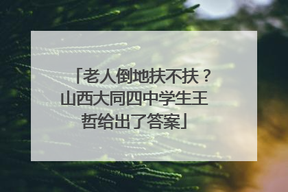 老人倒地扶不扶？山西大同四中学生王哲给出了答案