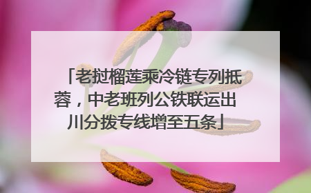 老挝榴莲乘冷链专列抵蓉，中老班列公铁联运出川分拨专线增至五条