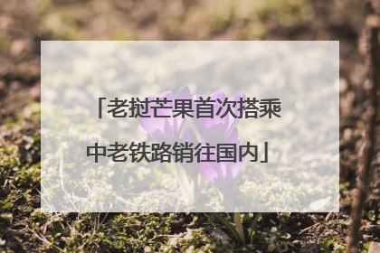 老挝芒果首次搭乘中老铁路销往国内