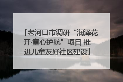 老河口市调研“润泽花开·童心护航”项目 推进儿童友好社区建设