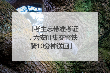 考生忘带准考证，六安叶集交警铁骑10分钟送回