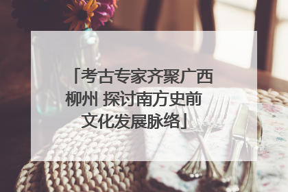 考古专家齐聚广西柳州 探讨南方史前文化发展脉络