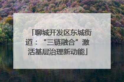 聊城开发区东城街道：“三链融合”激活基层治理新动能
