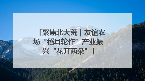 聚焦北大荒｜友谊农场“稻耳轮作”产业振兴“花开两朵”