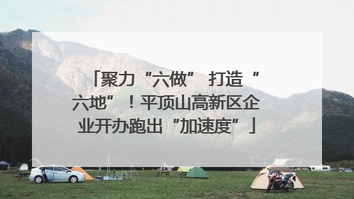 聚力“六做” 打造“六地”！平顶山高新区企业开办跑出“加速度”