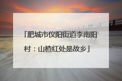 肥城市仪阳街道李南阳村：山楂红处是故乡