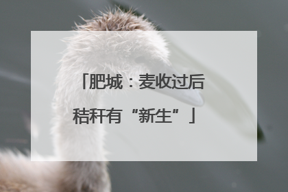 肥城：麦收过后秸秆有“新生”