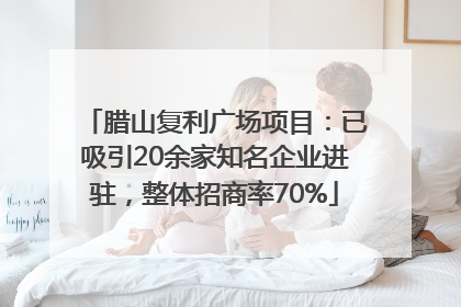 腊山复利广场项目：已吸引20余家知名企业进驻，整体招商率70%