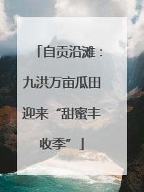 自贡沿滩：九洪万亩瓜田迎来“甜蜜丰收季”