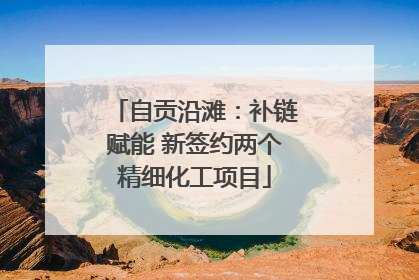 自贡沿滩：补链赋能 新签约两个精细化工项目