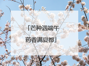 芒种遇端午 药香满夏都