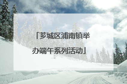 芗城区浦南镇举办端午系列活动