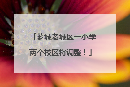 芗城老城区一小学两个校区将调整！