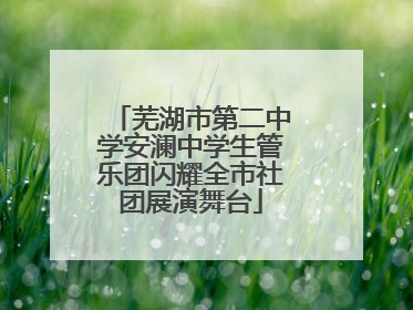 芜湖市第二中学安澜中学生管乐团闪耀全市社团展演舞台